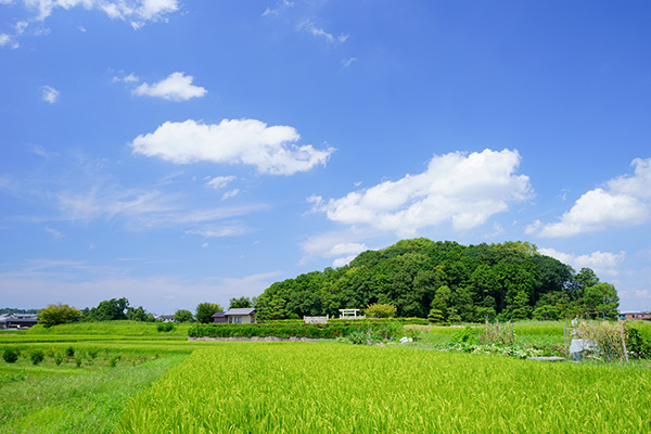 奈良 ハイキング